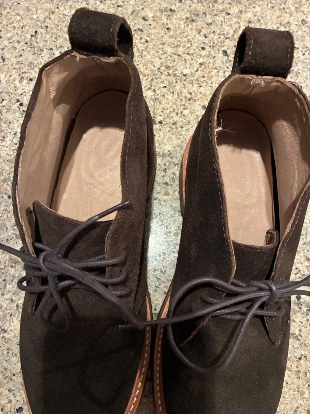 Men's 8 Taylor Stitch (The Chukka) Dark Brown Suede Chukka Boots - Lace-Up. NWOT